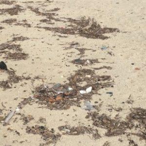 Καθαρισμός παραλίας Ρακοποτάμου στη Λάρισα